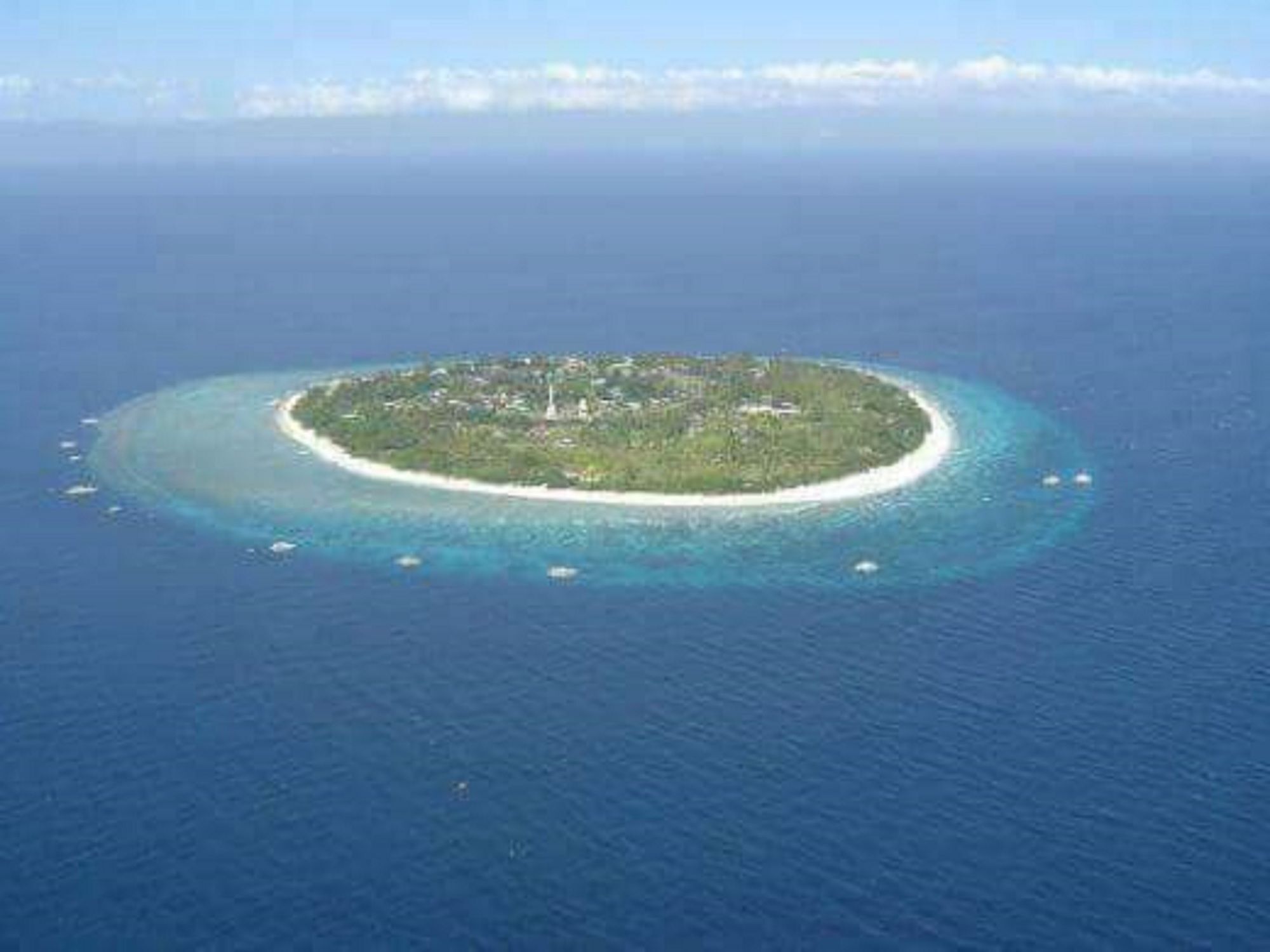 Traville Huts Palm Beach Inn Panglao Εξωτερικό φωτογραφία